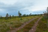 Image of landscape
