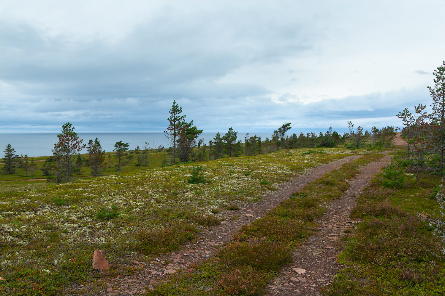 Аметистовый берег, image of landscape/habitat.