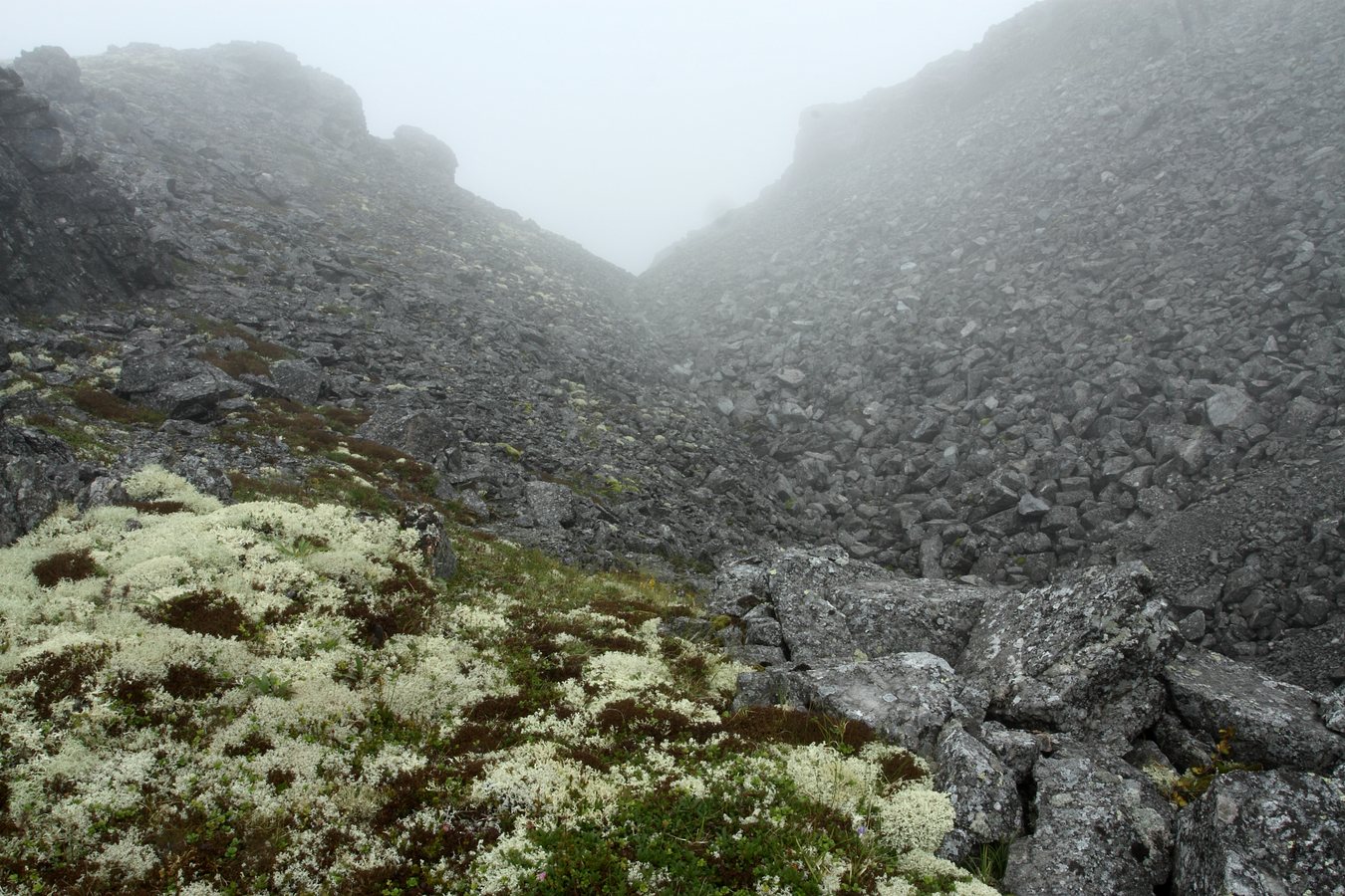 Кукисвумчорр, image of landscape/habitat.