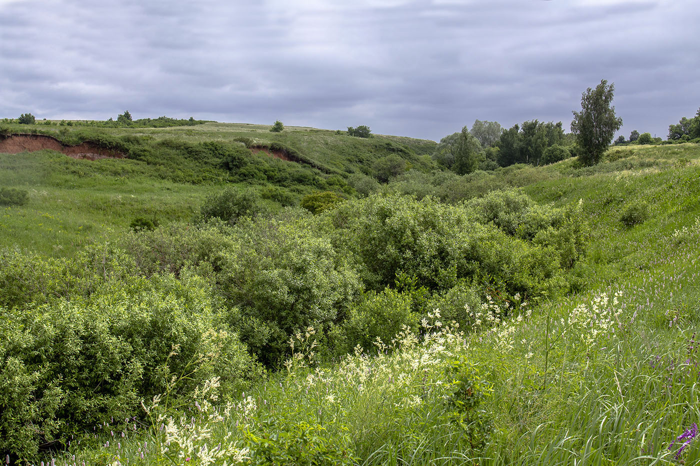 Окрестности города Стерлитамак, image of landscape/habitat.