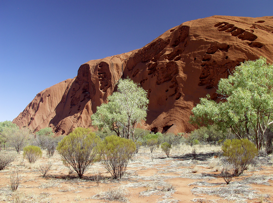 Uluru - Kata Tjuta, image of landscape/habitat.