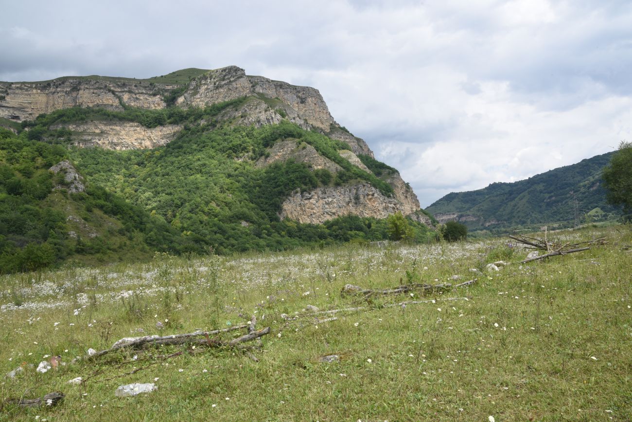 Устье реки Бедык, изображение ландшафта.