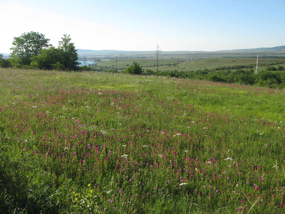 Урочище Аян, image of landscape/habitat.