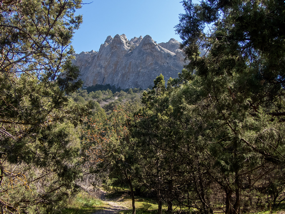 Сокол, изображение ландшафта.