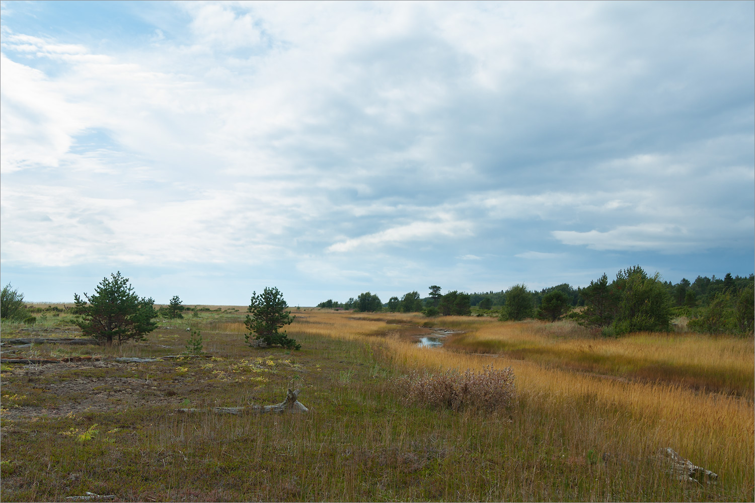 Аметистовый берег, image of landscape/habitat.