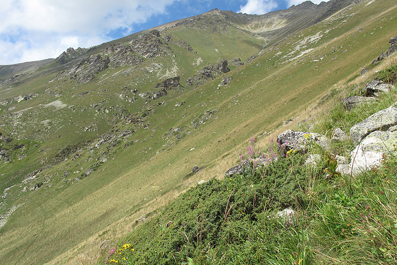 Xодюк, image of landscape/habitat.