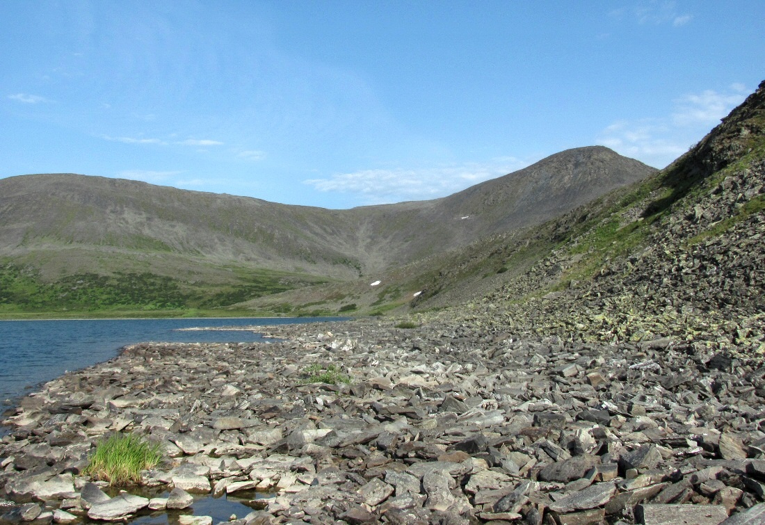 Бадьяшор, image of landscape/habitat.