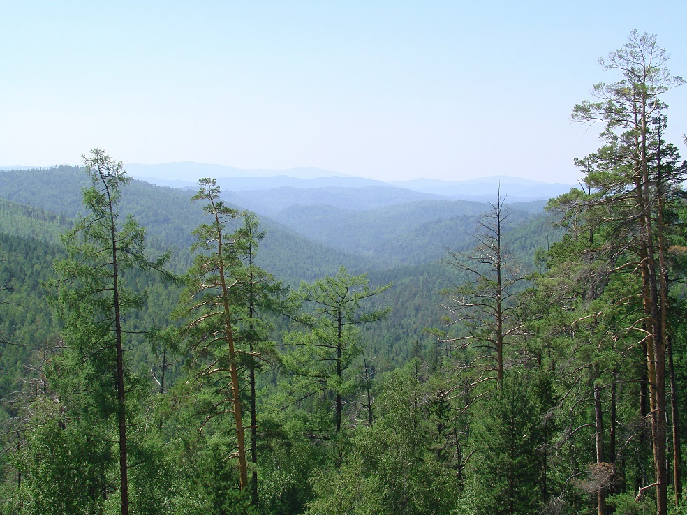 Глубокая, image of landscape/habitat.