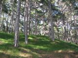 Гора Лапата, image of landscape/habitat.