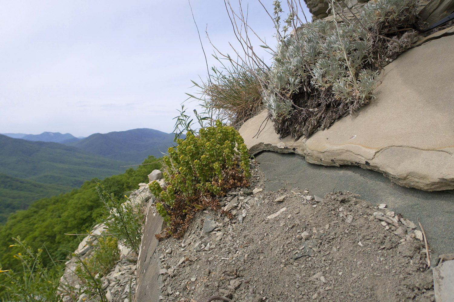 Собер-Баш, image of landscape/habitat.