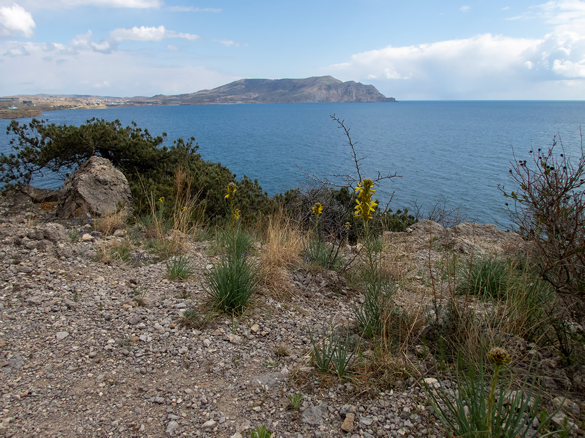 Урочище Алчак-Кая, image of landscape/habitat.