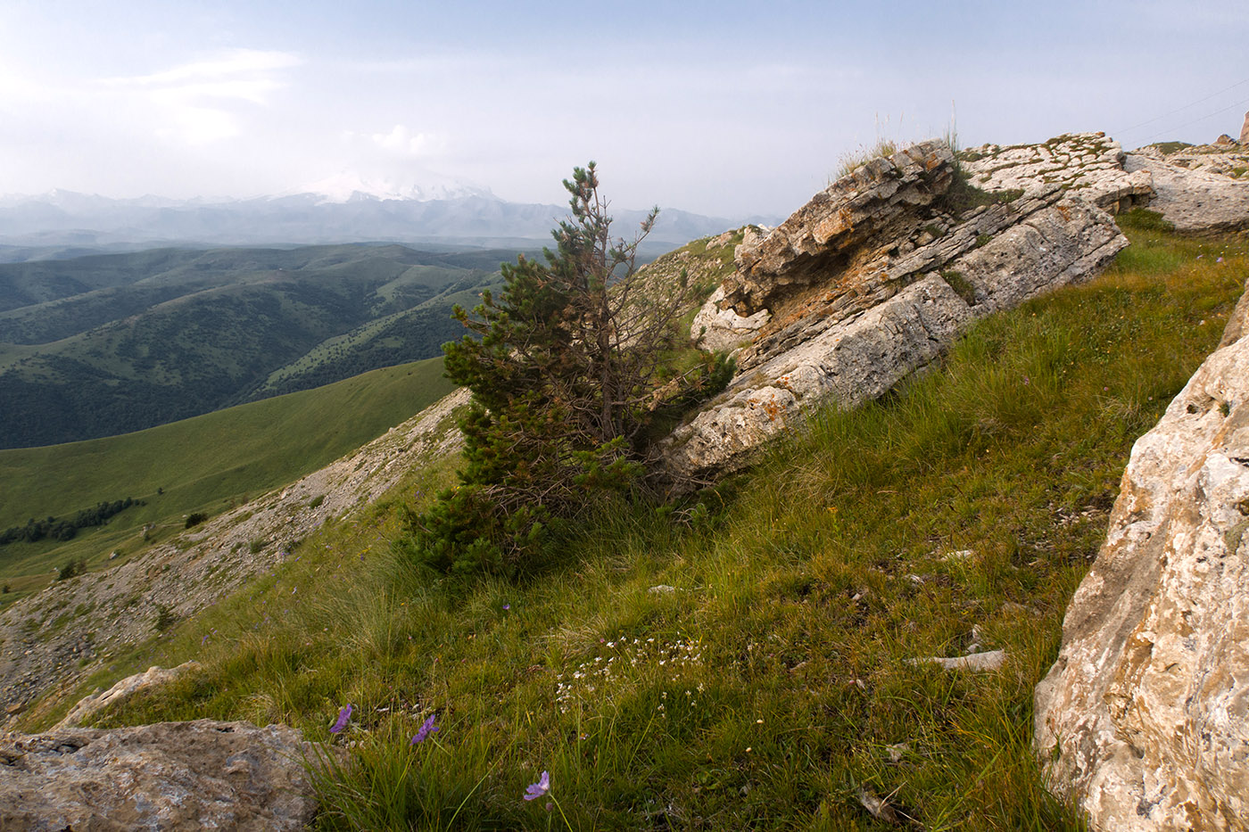 Малый Бермамыт, image of landscape/habitat.