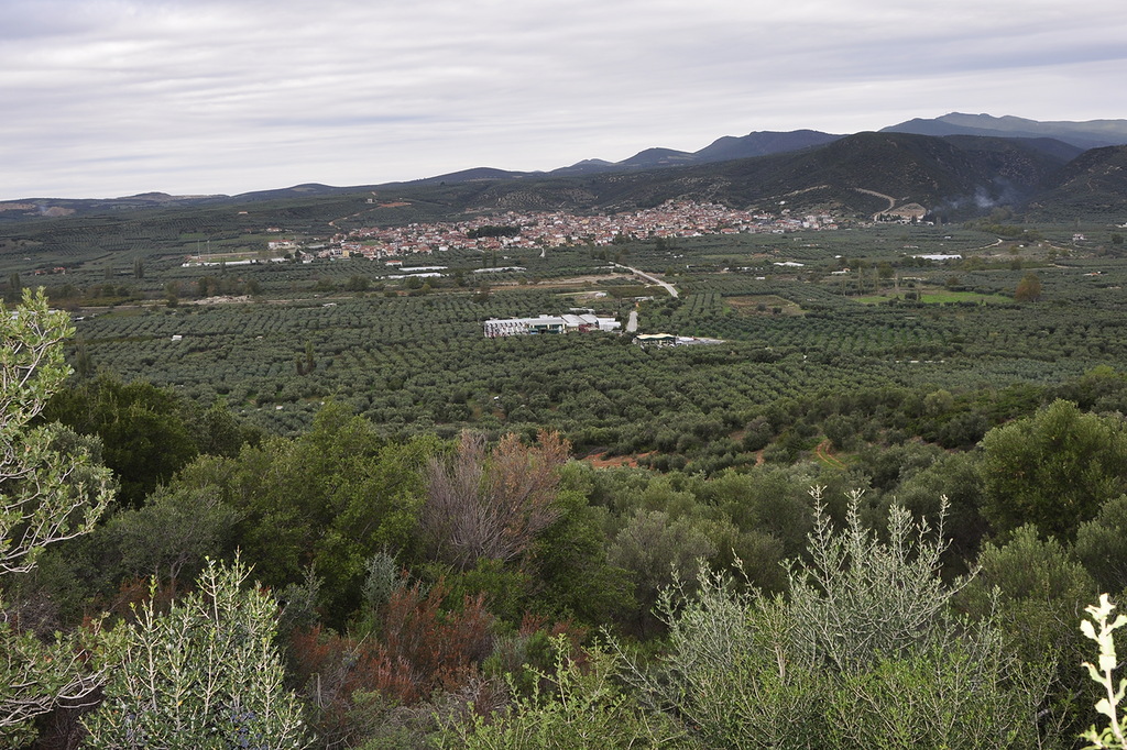 Халкидики, image of landscape/habitat.