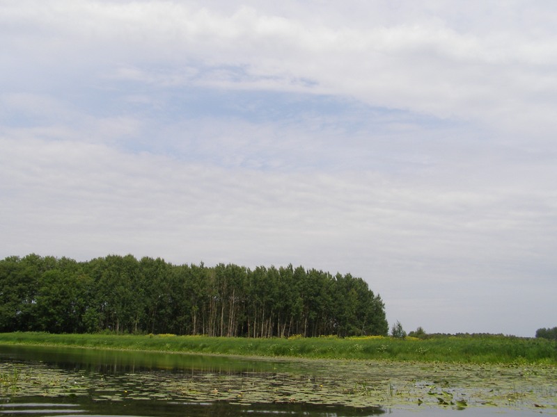 НПП "Деснянско-Старогутский", изображение ландшафта.