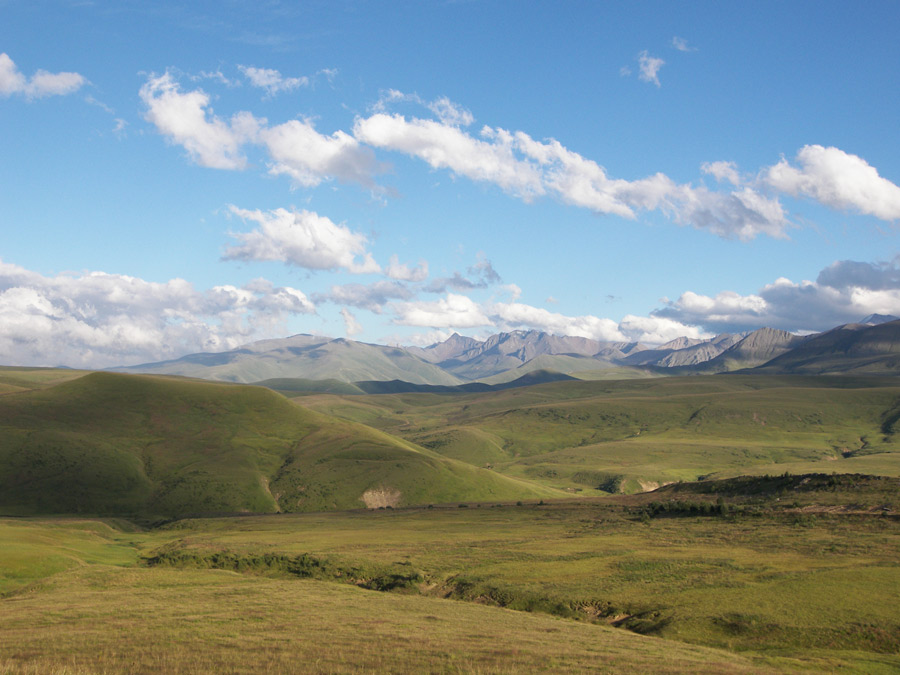 Плато Бечасын, image of landscape/habitat.