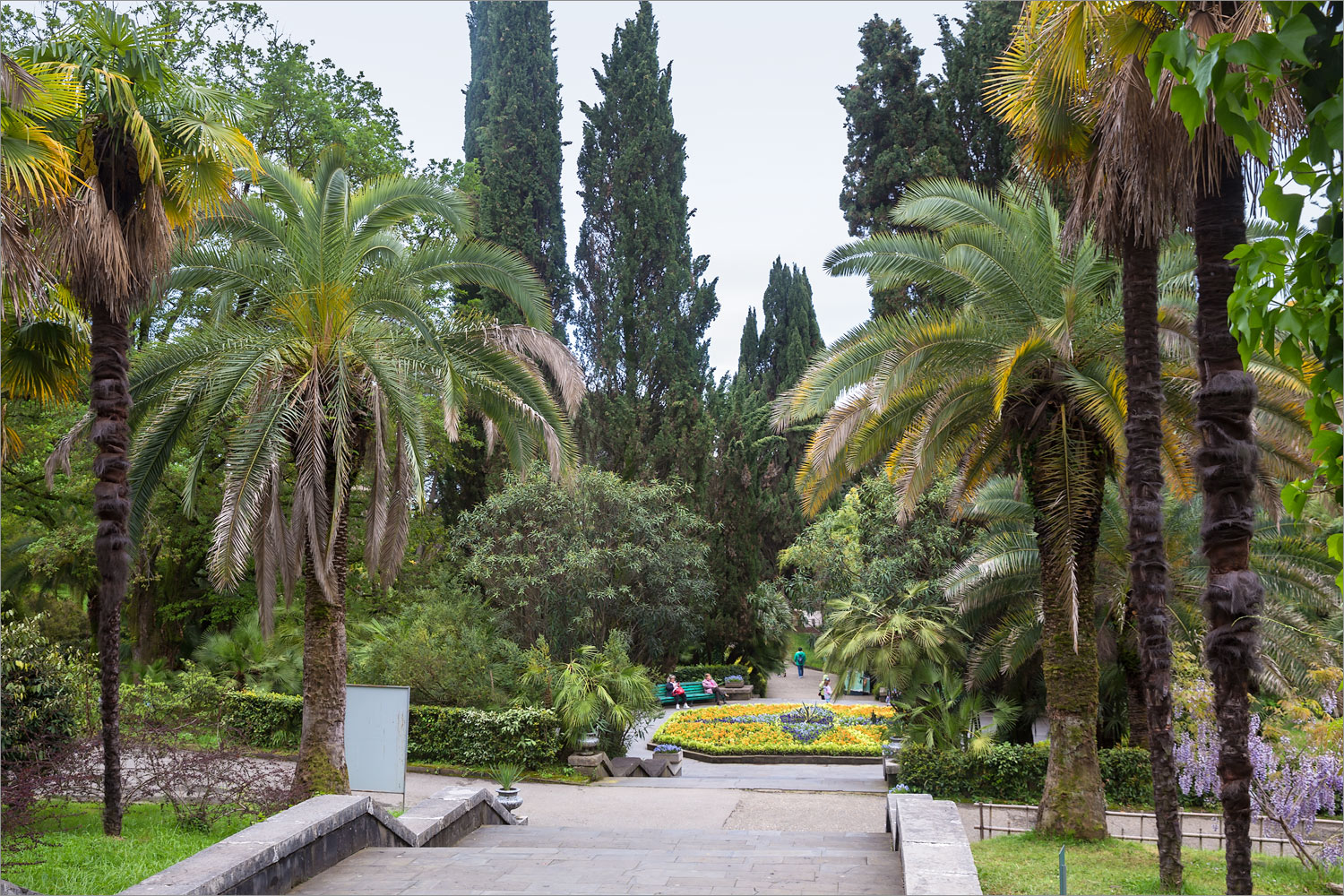 Сочинский Дендрарий, image of landscape/habitat.