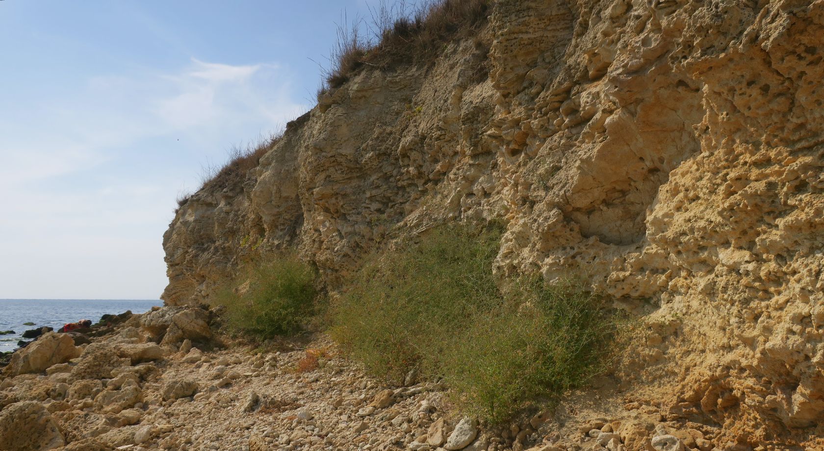 Дюны Несебра, image of landscape/habitat.