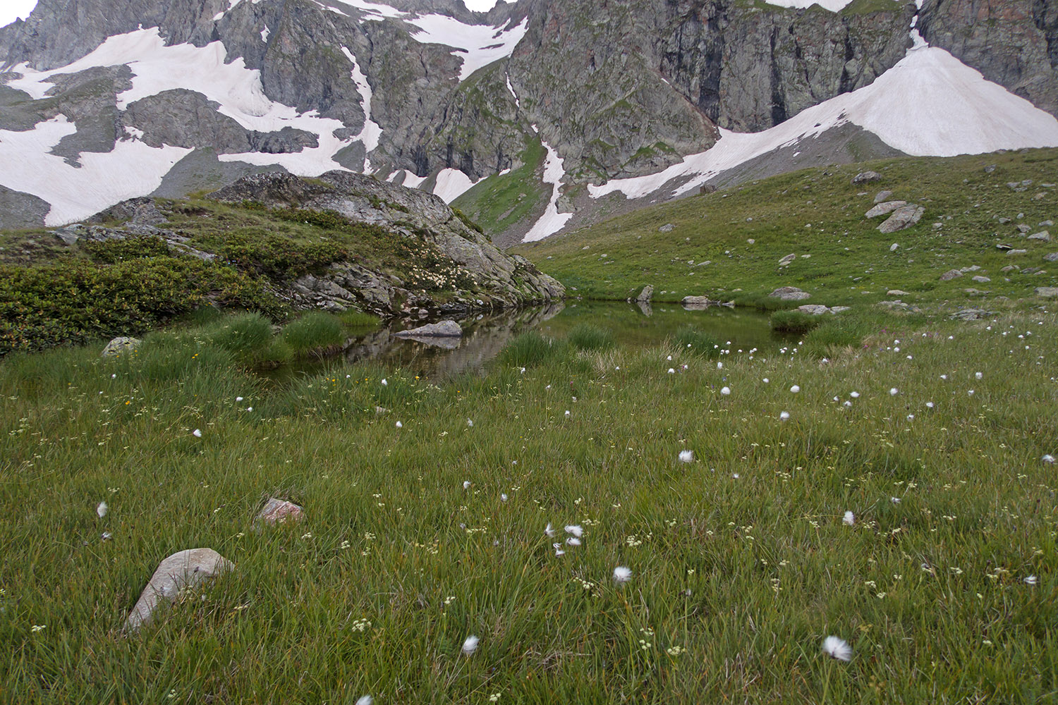 Верховья Имеретинки, image of landscape/habitat.