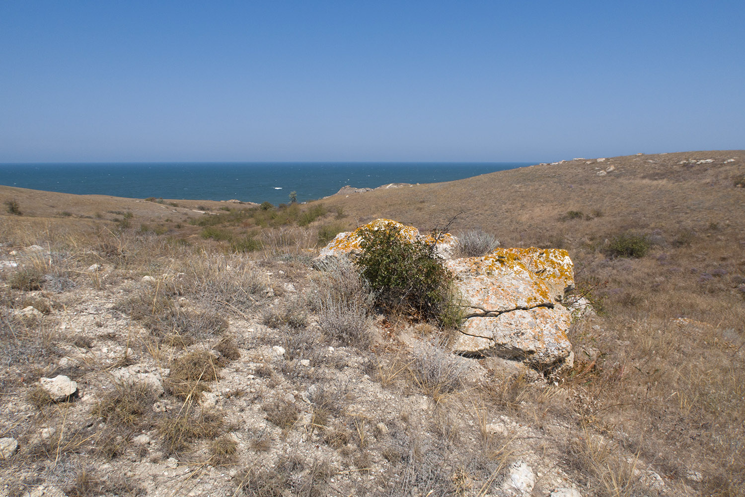 Балка у Генеральских пляжей, image of landscape/habitat.