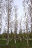 Image of landscape