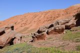 Image of landscape