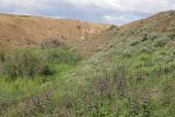 Image of landscape