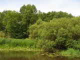 Landscape image