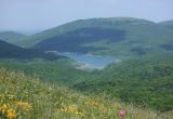 Неберджаевское водохранилище, image of landscape/habitat.