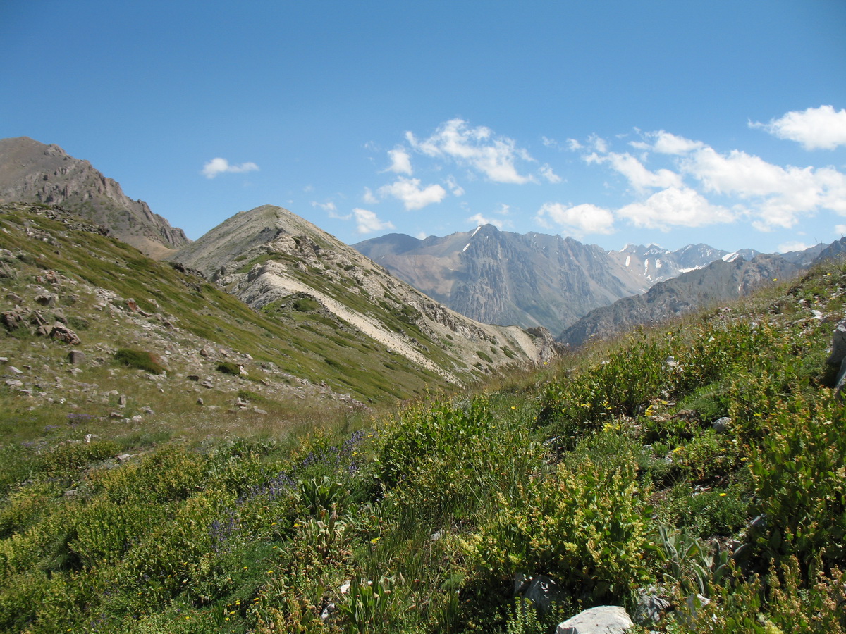 Перевал Кши-Каинды, image of landscape/habitat.