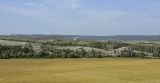 Танковое, image of landscape/habitat.