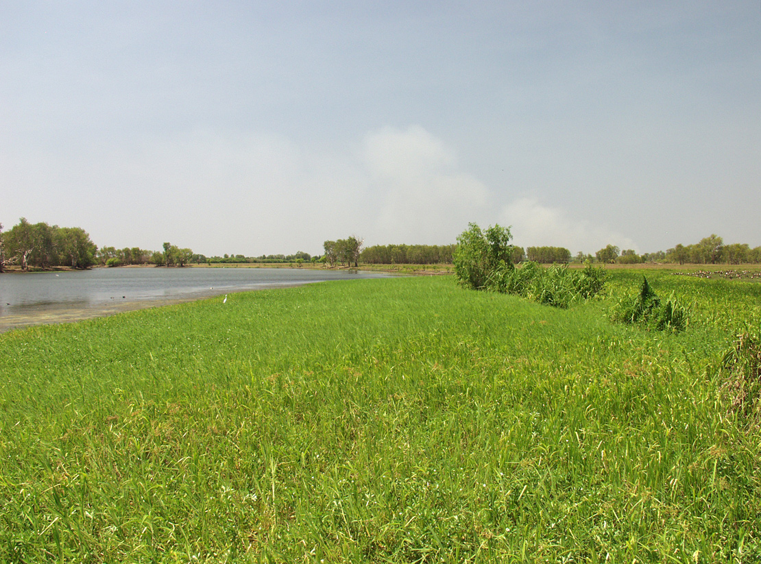 Kakadu, image of landscape/habitat.