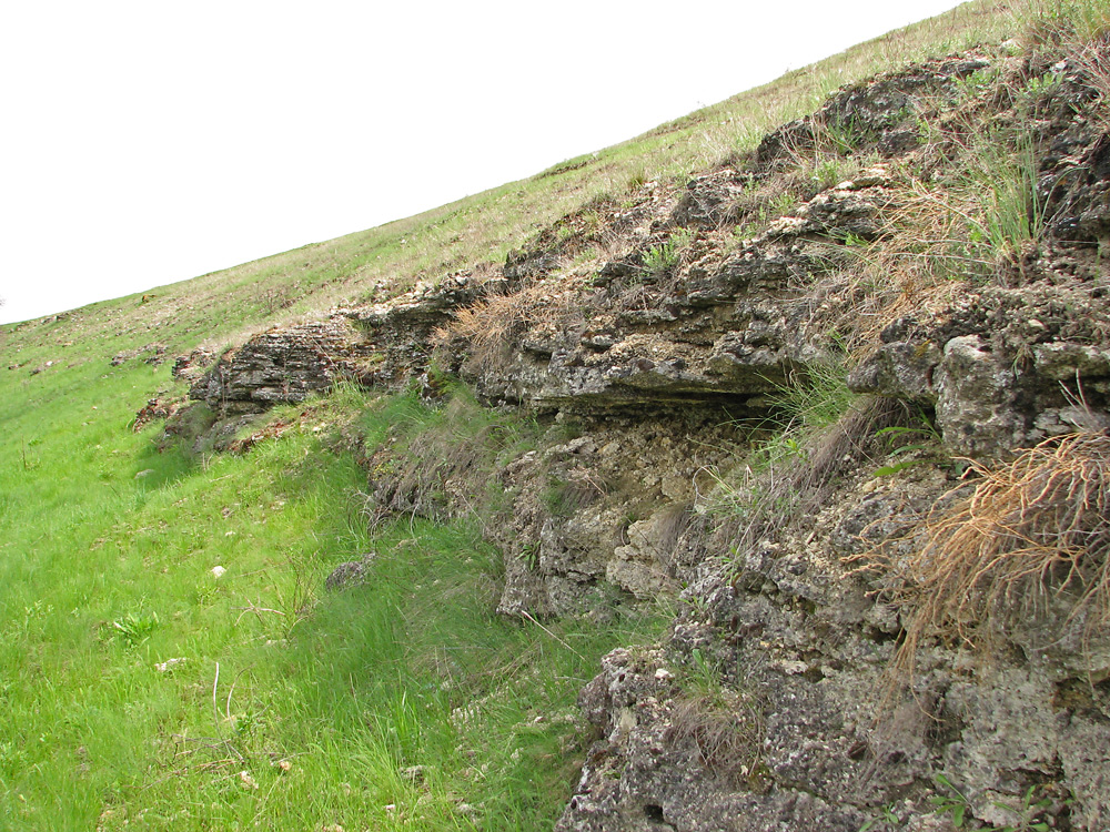 Харцызская балка, изображение ландшафта.