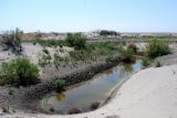 Image of landscape