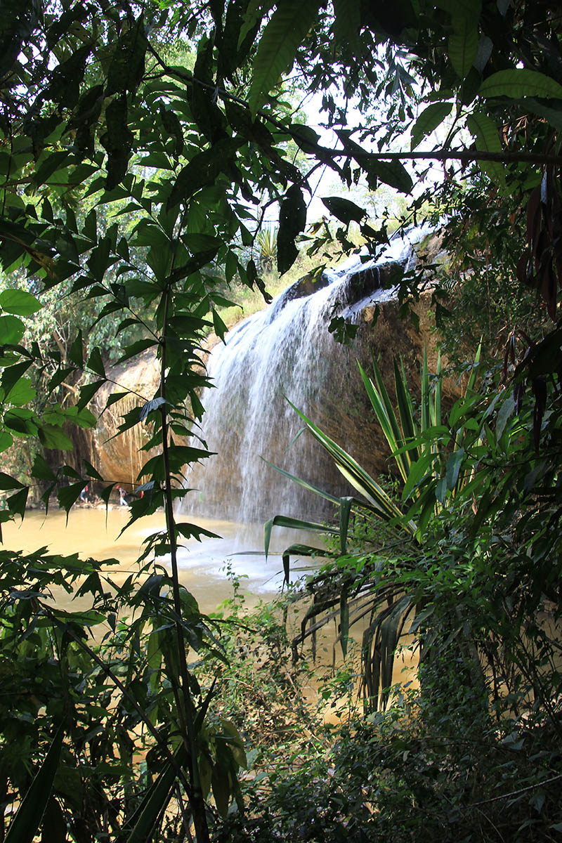 Окрестности города Далат, image of landscape/habitat.