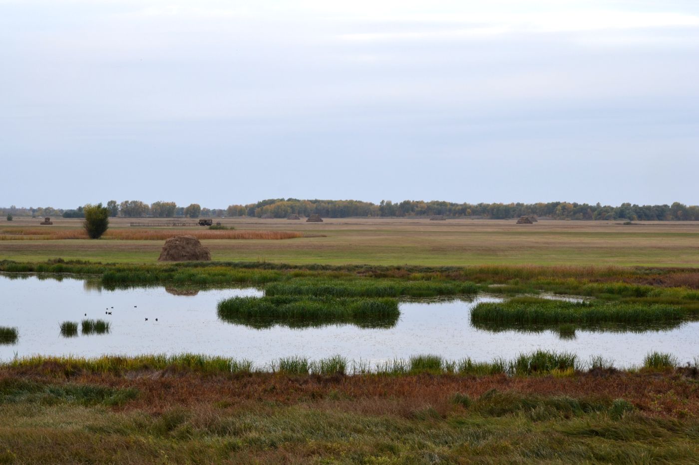 Харабали, image of landscape/habitat.