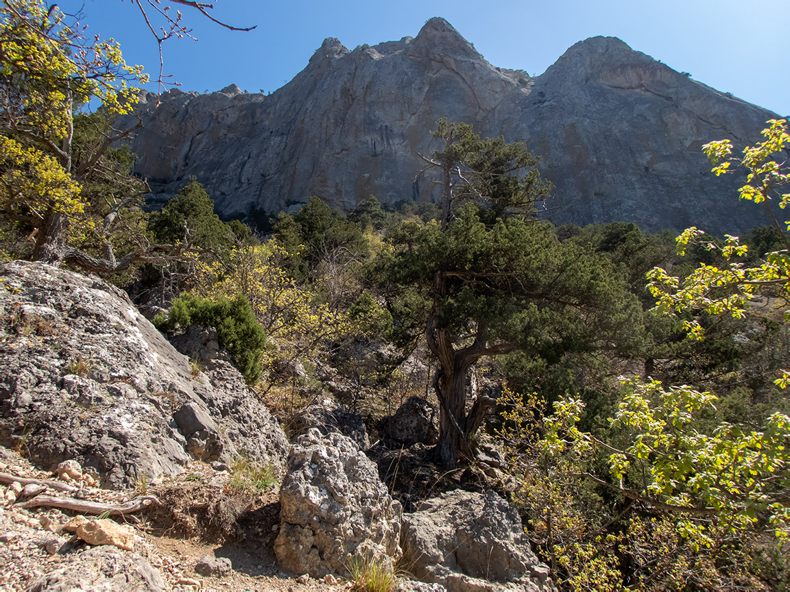 Сокол, image of landscape/habitat.