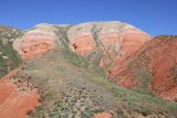 Image of landscape