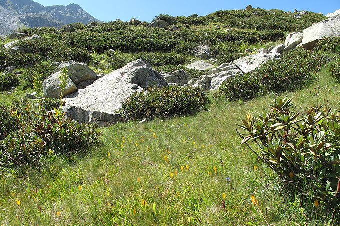 Xодюк, image of landscape/habitat.