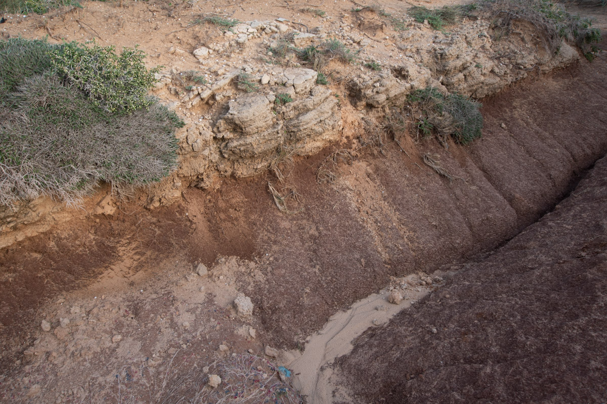 Высокий берег Средиземного моря, image of landscape/habitat.