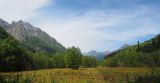Image of landscape