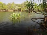 Kakadu, image of landscape/habitat.