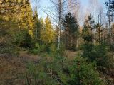 Image of landscape