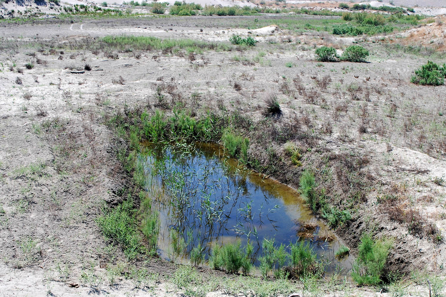 Пески Язъяван, Язъяванский район, image of landscape/habitat.