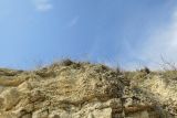 Image of landscape