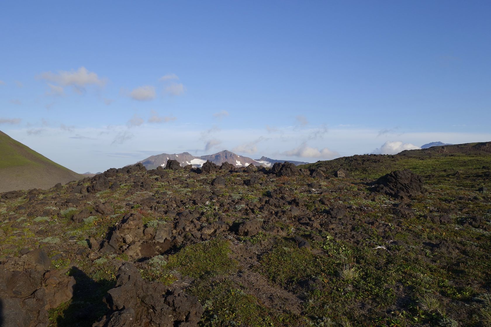 Стоянка у вулкана Горелый, image of landscape/habitat.