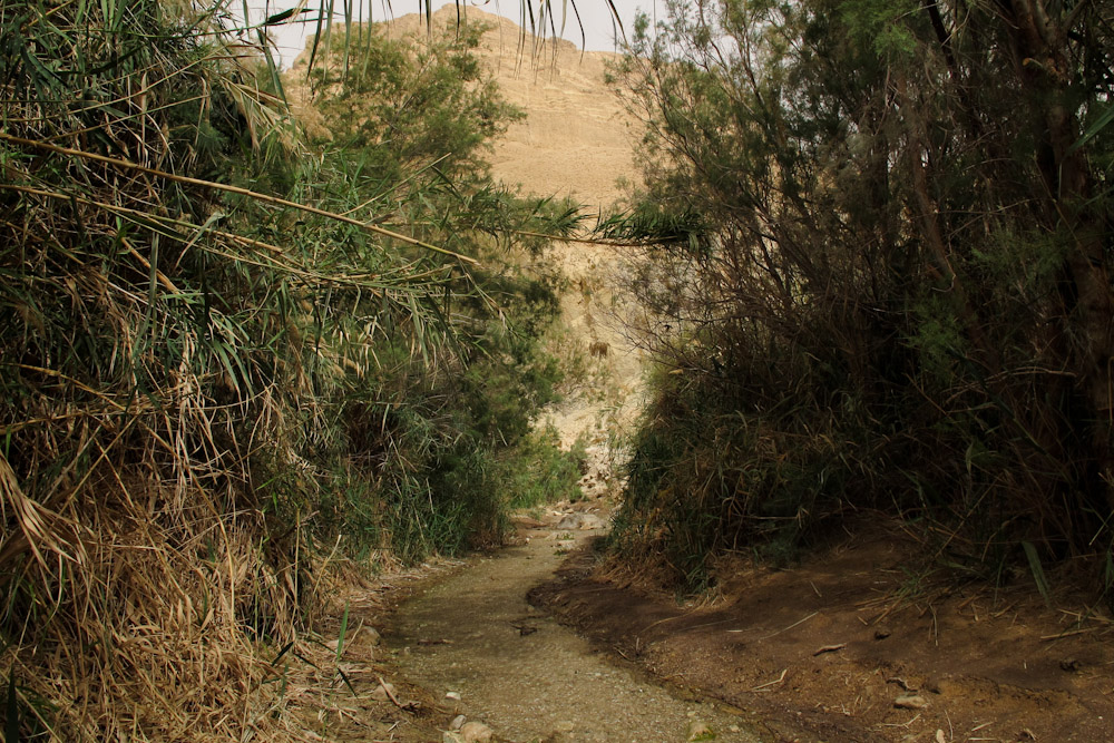 Мёртвое море, image of landscape/habitat.