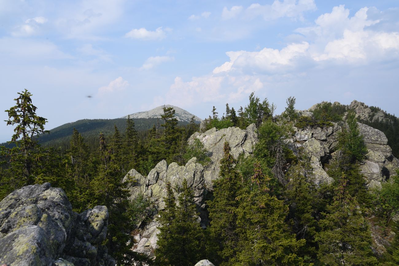 Майские Поляны и окрестности, image of landscape/habitat.