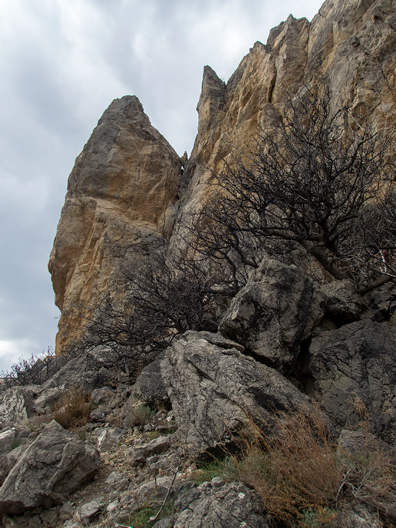 Урочище Алчак-Кая, image of landscape/habitat.