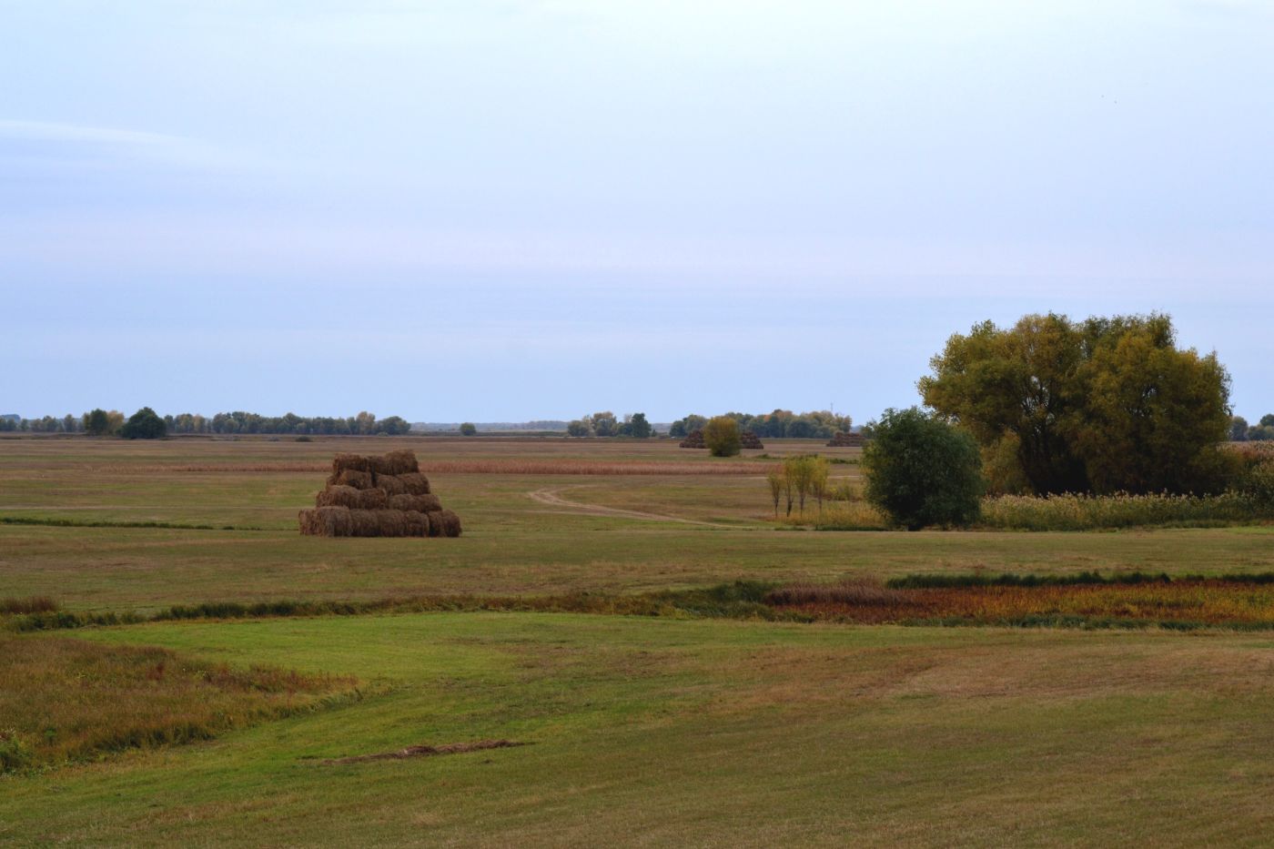 Харабали, image of landscape/habitat.