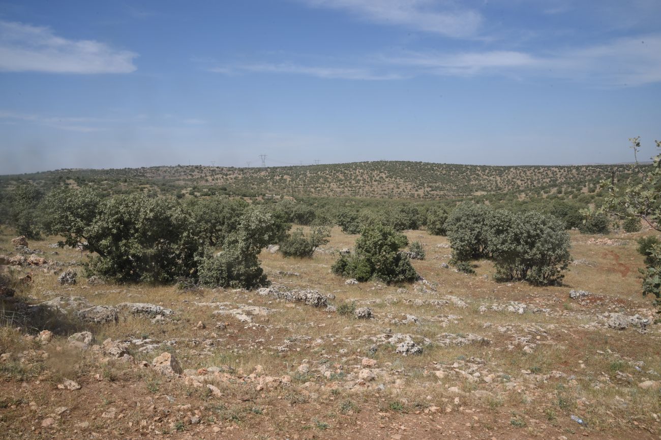 Монастырь Мор-Габриэль, image of landscape/habitat.